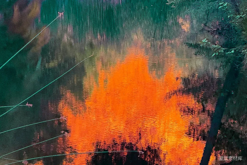 高清摄影 自然 倒影 宁静 橙色 湖景 湖面倒影的橙色剪影