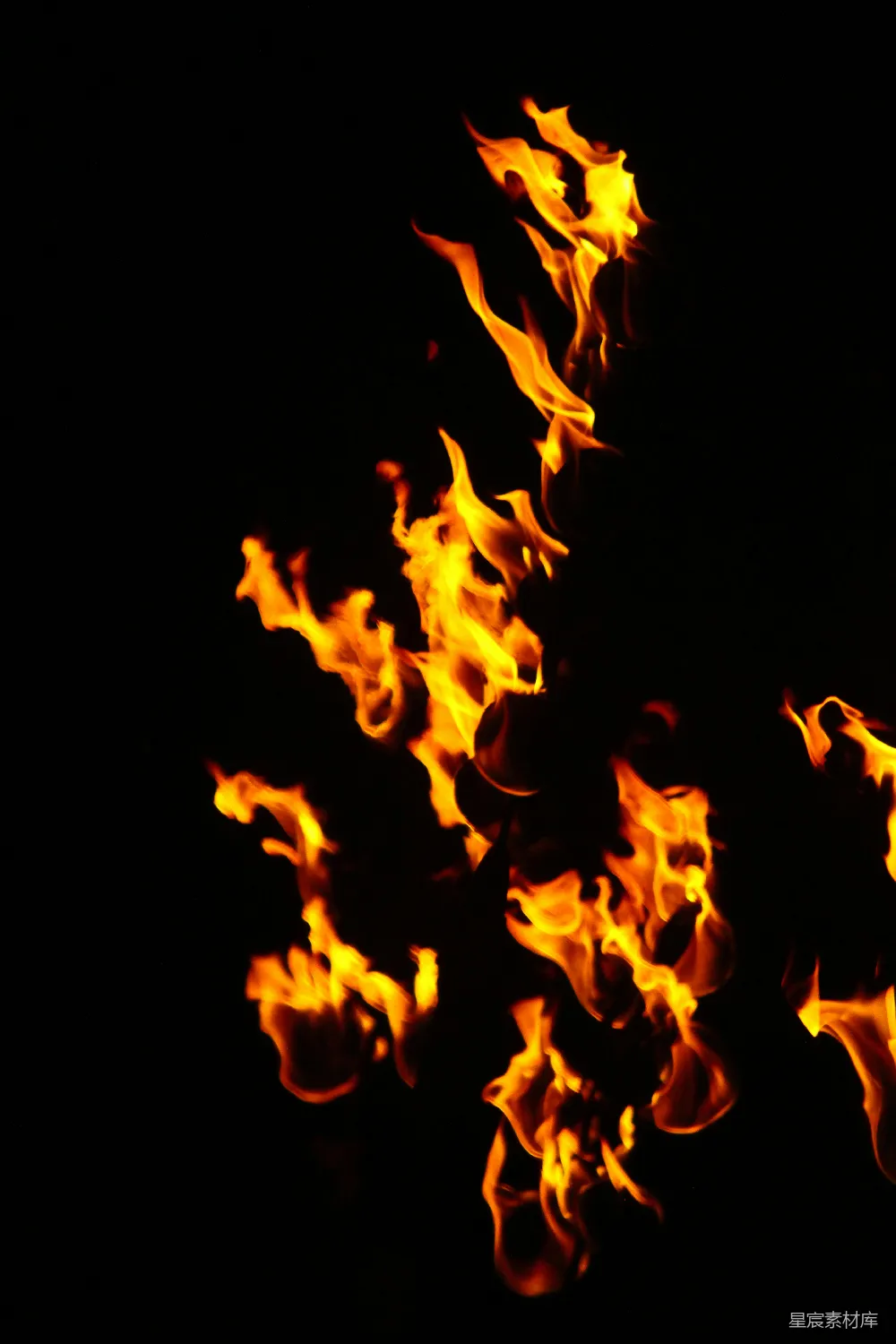 高清摄影 火焰 夜晚 艺术 自然 黑暗 火焰的舞蹈