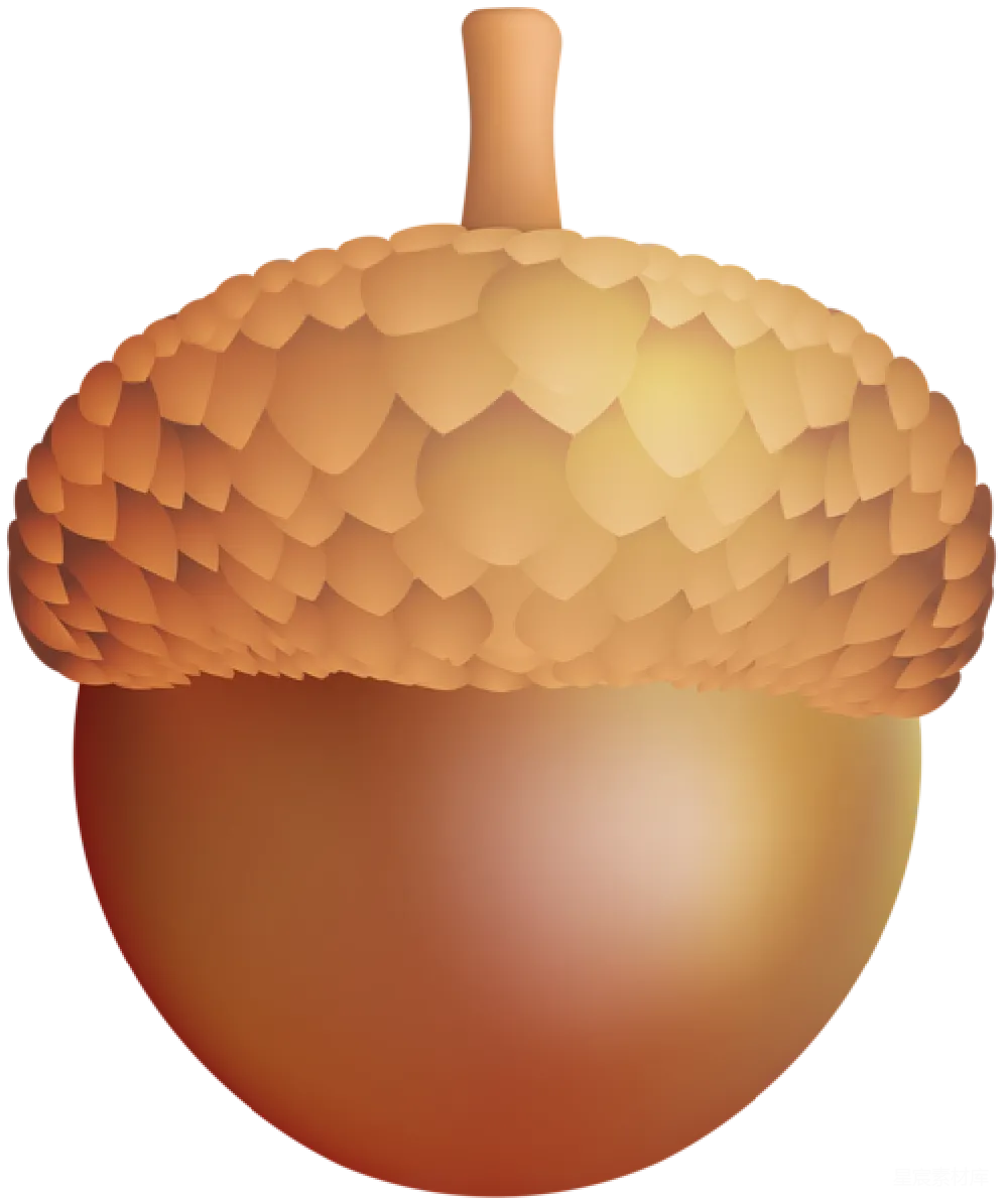 元素素材 橡果
