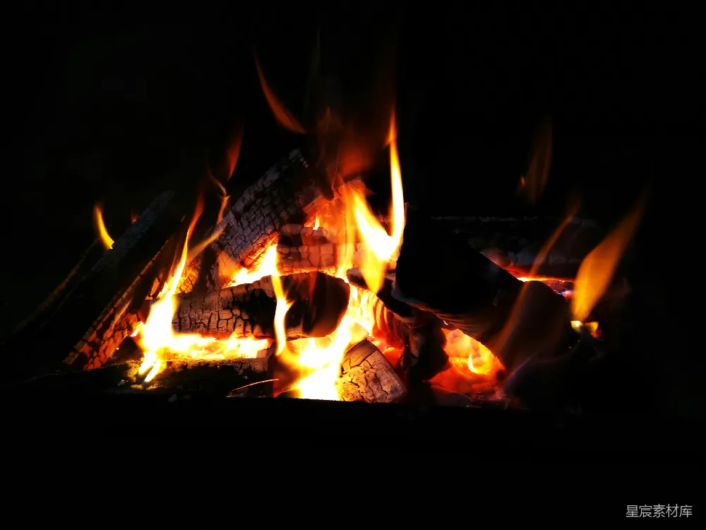 高清摄影 篝火 温暖 夜景 户外 静谧 篝火的温暖时光