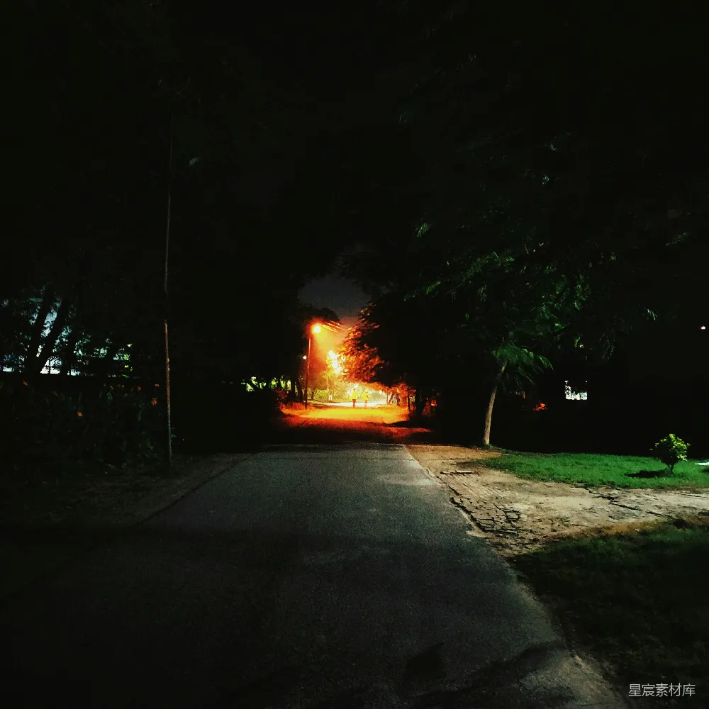 高清摄影 夜晚 路灯 道路 自然 宁静 夜晚的路灯照亮道路