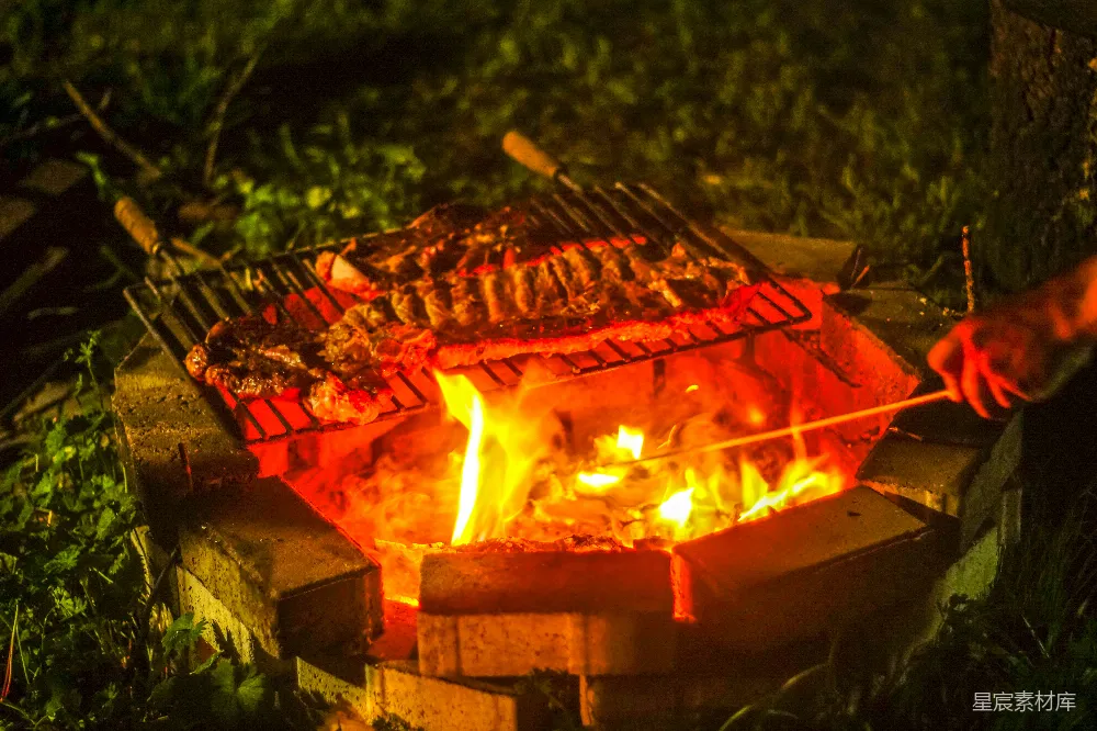 高清摄影 烧烤 户外活动 篝火 美食 夜生活 篝火夜烧烤