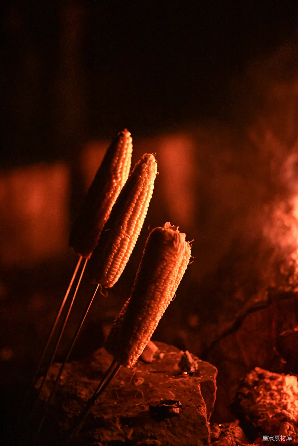高清摄影 玉米 篝火 夜景 户外 美食 篝火边烤玉米