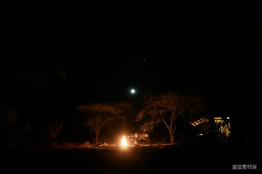 高清摄影 夜晚 自然 露营 宁静 星空 星空下的篝火