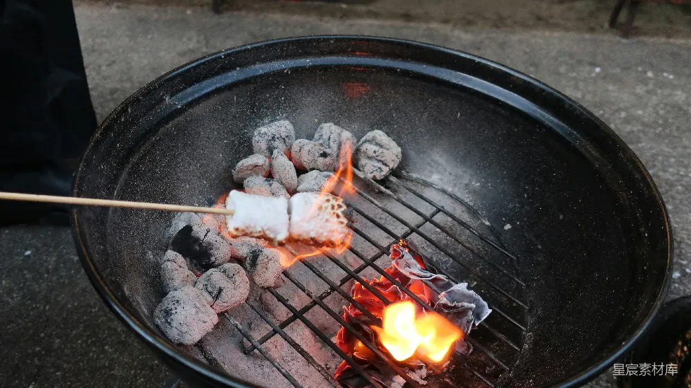 高清摄影 烧烤 户外 美食 火焰 生活 户外烧烤的瞬间