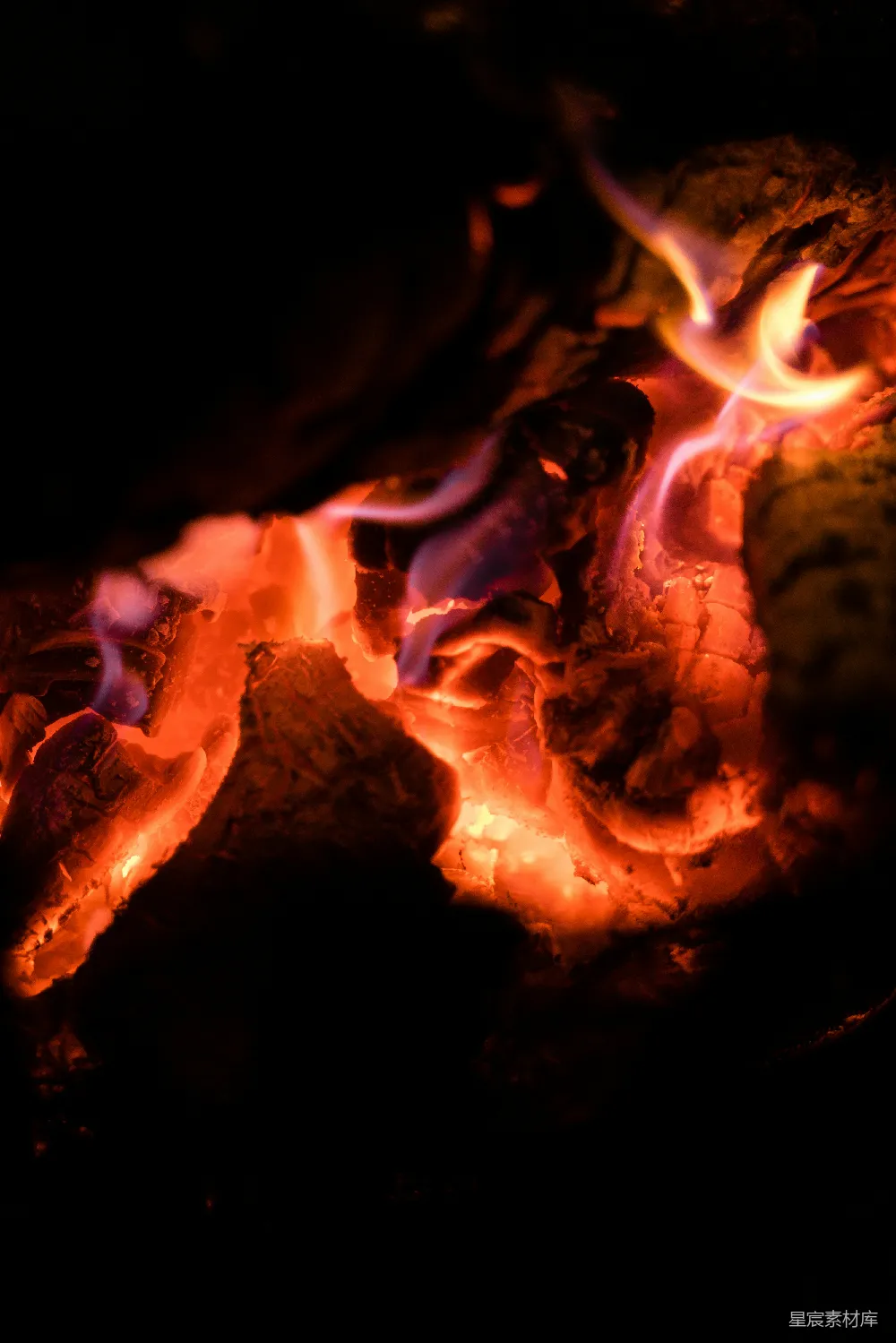 高清摄影 篝火 温暖 夜晚 自然 放松 篝火的温暖