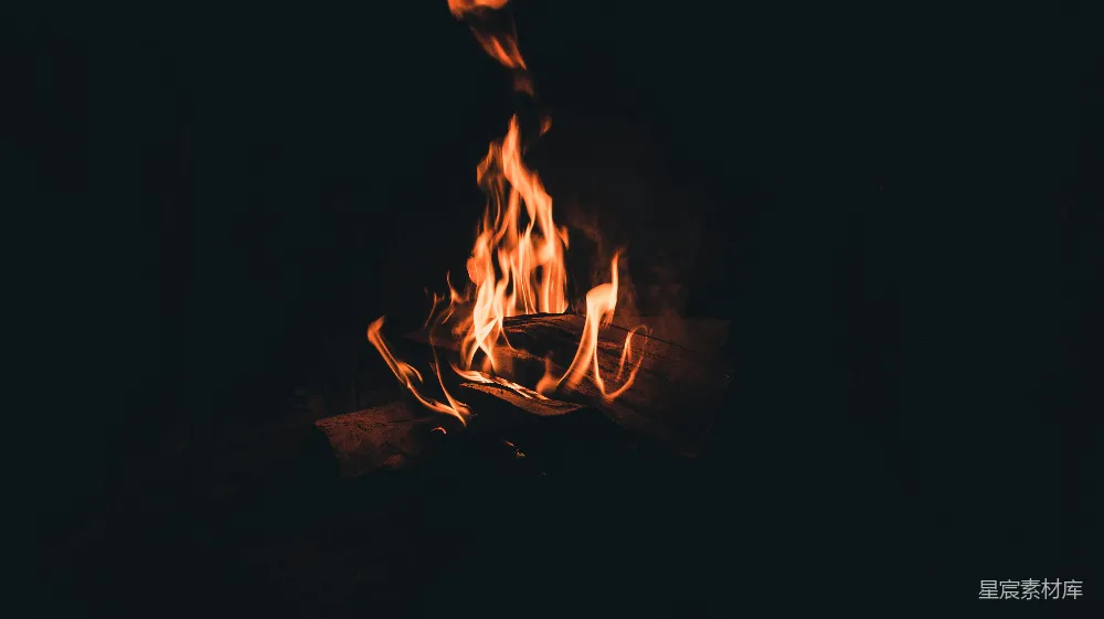 高清摄影 火焰 篝火 夜晚 温暖 自然 篝火的温暖时光