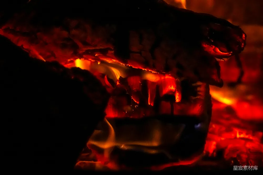 高清摄影 火 骷髅 恐怖 夜间 神秘 火中的骷髅