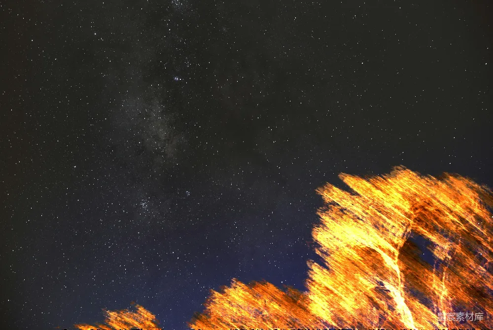 高清摄影 夜空 星河 树影 宁静 自然 星河与树影的夜晚