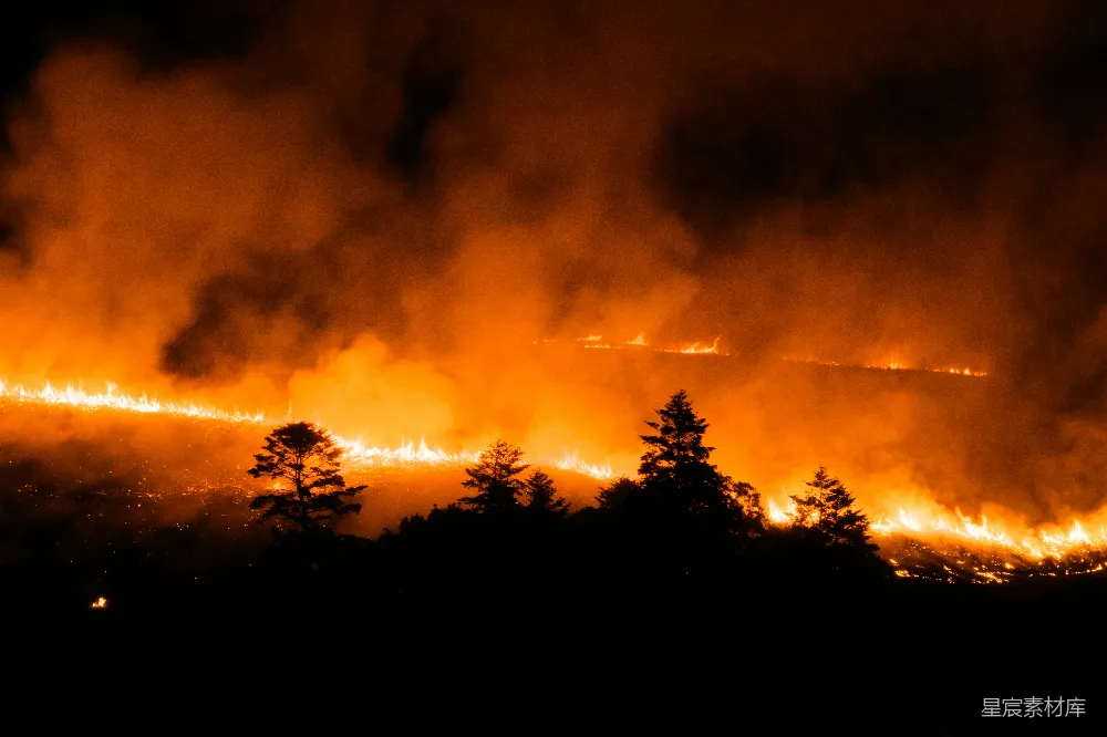高清摄影 森林大火 灾难 自然 夜晚 紧急 森林大火