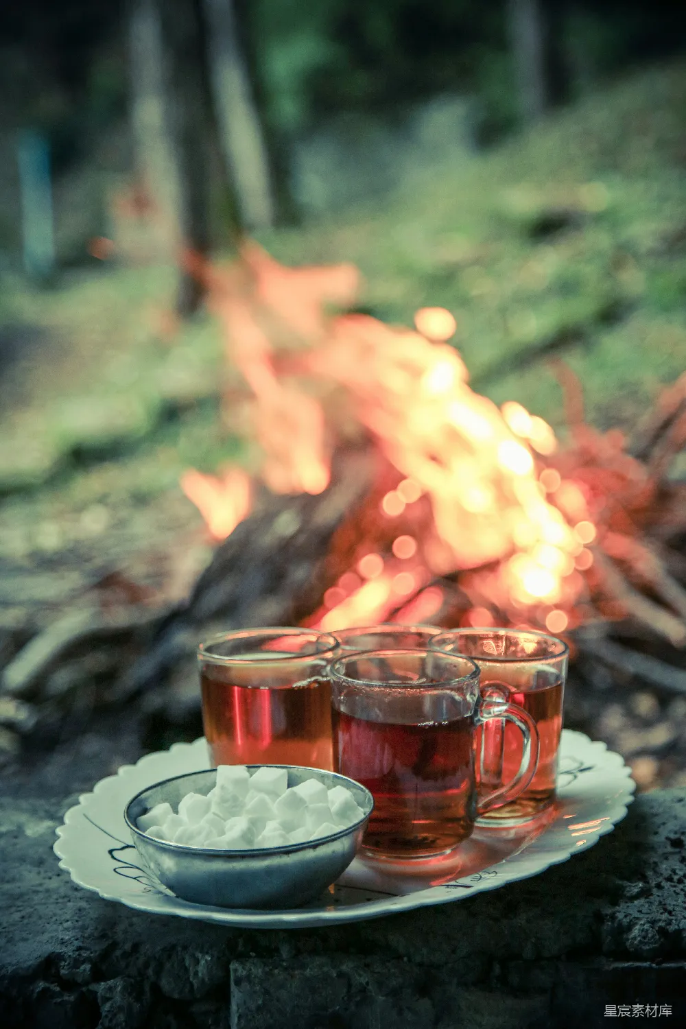 高清摄影 篝火 茶杯 甜点 户外 温馨 篝火旁的温暖时光
