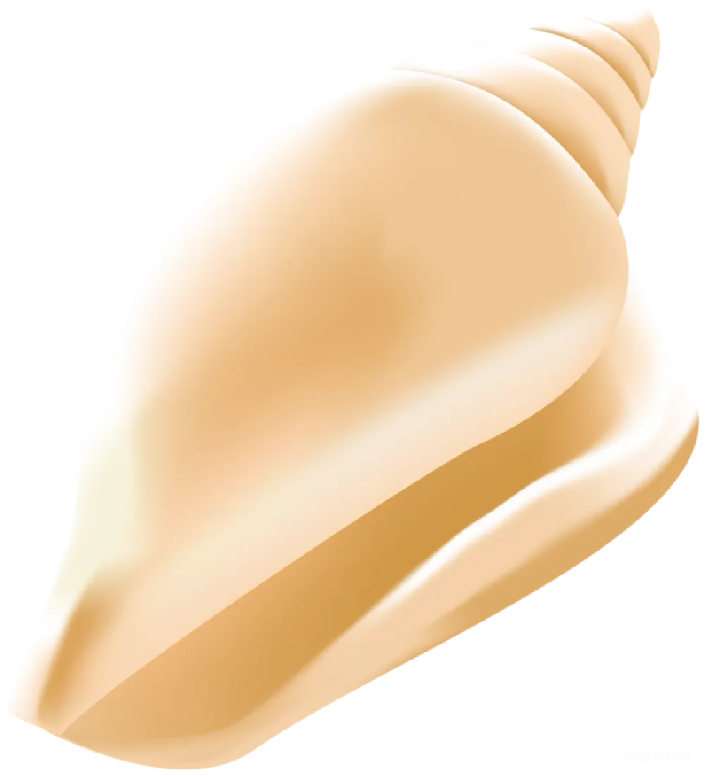 元素素材 贝壳