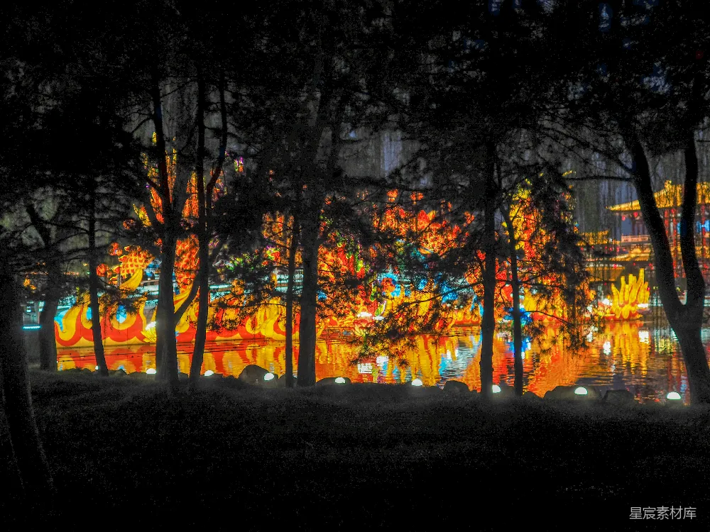 高清摄影 夜景 灯光 树木 节日 城市 夜幕下的灯光森林