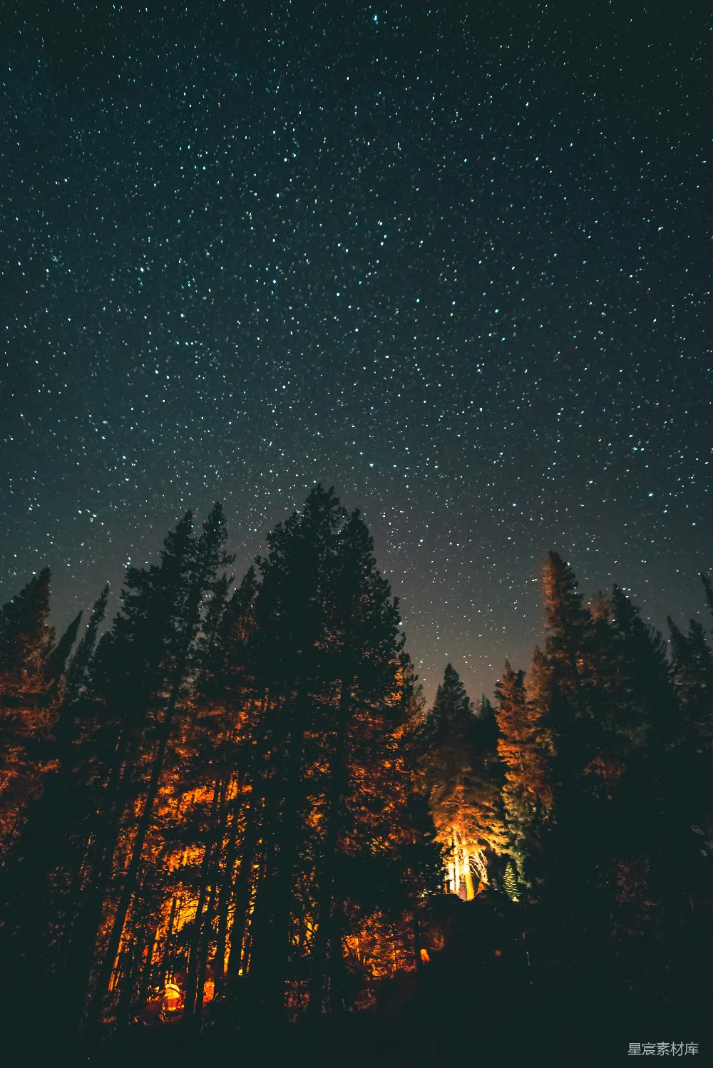 高清摄影 自然 夜晚 篝火 星河 户外 森林中的篝火与星空