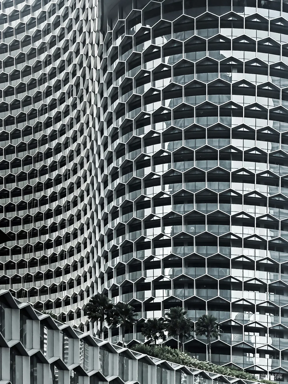 高清摄影 建筑 现代 几何 城市 设计 蜂巢式现代建筑