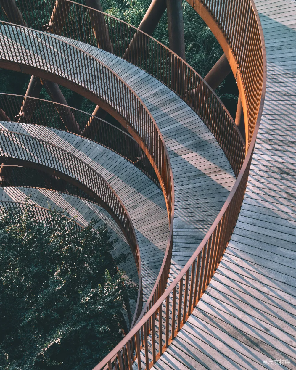 高清摄影 森林 栈道 螺旋 自然 风景 森林中的螺旋栈道