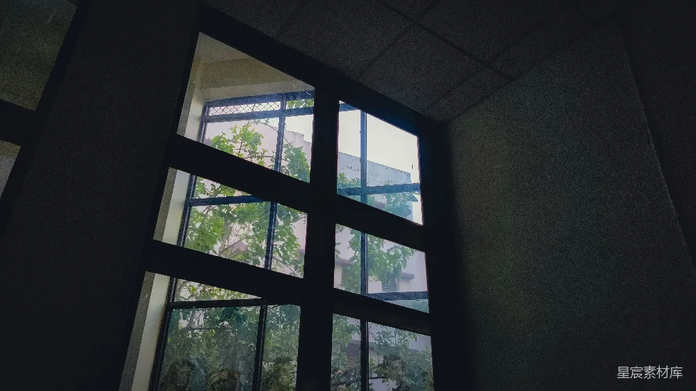 高清摄影 窗户 建筑 自然 光影 静谧 窗外的绿意