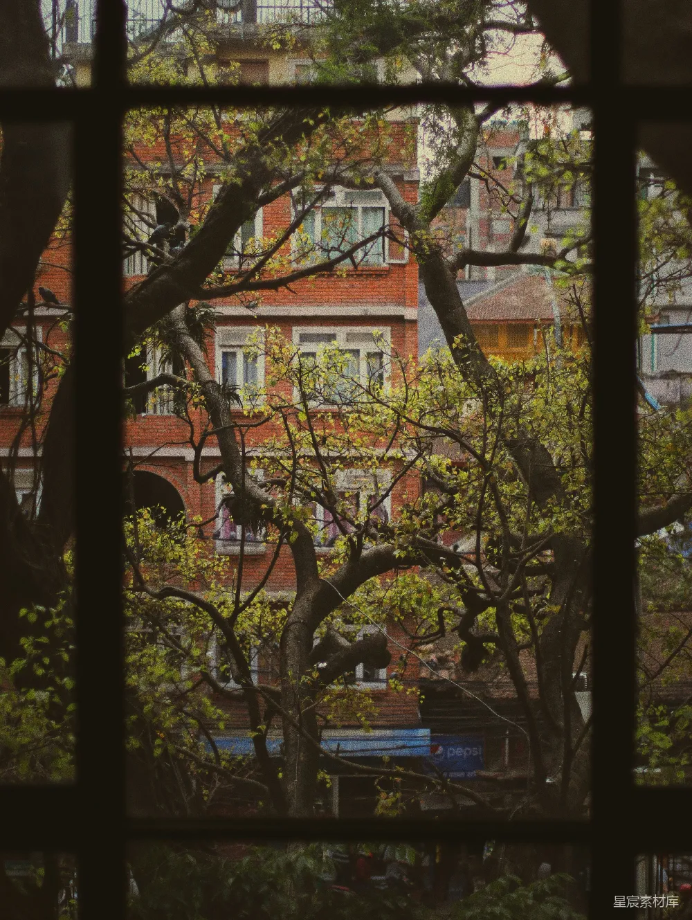 高清摄影 秋景 建筑 窗户 树木 城市 透过窗户的秋景
