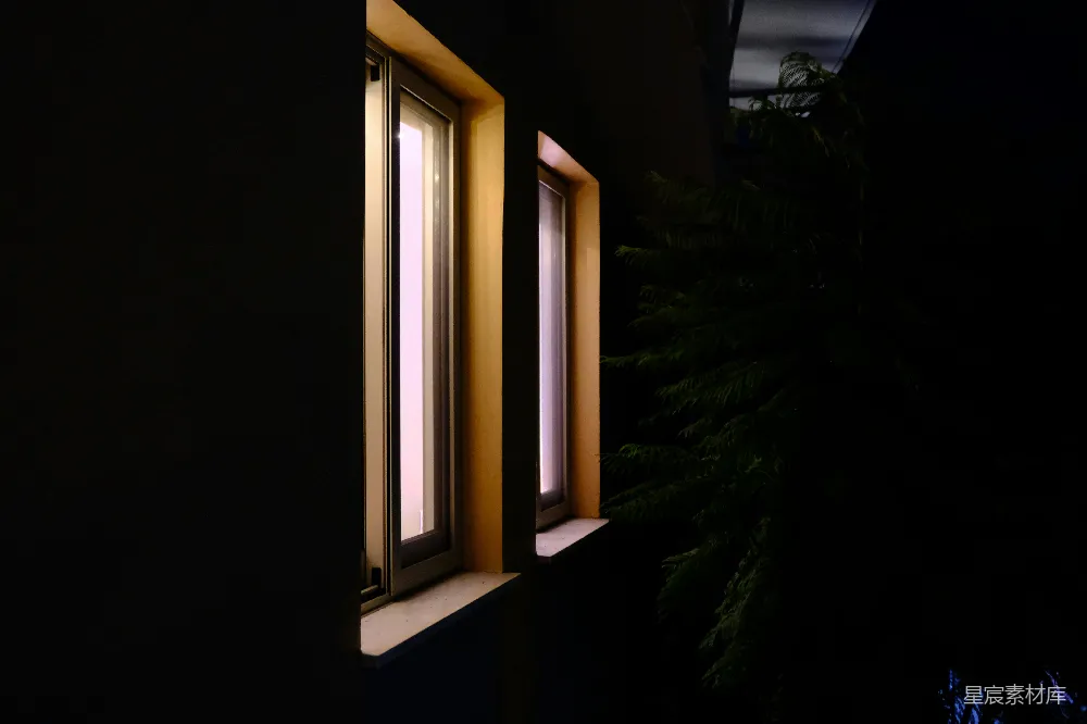 高清摄影 夜景 窗户 植物 光影效果 室内设计 夜幕下的窗边光影