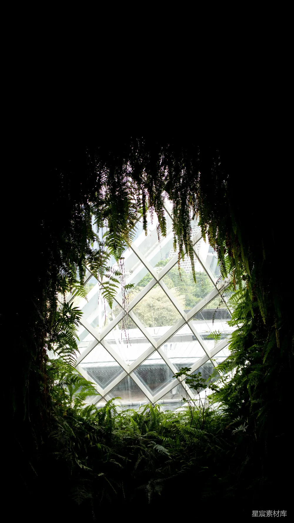 高清摄影 植物 现代建筑 自然景观 生态艺术 城市绿洲 自然与现代的和谐对话