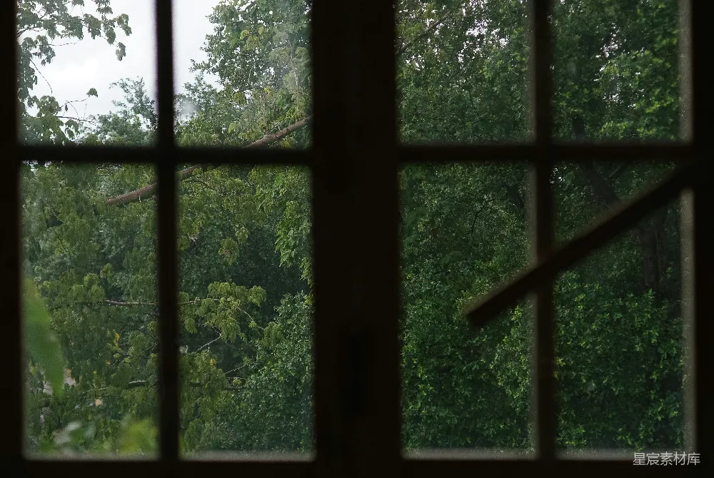 高清摄影 窗户 雨景 自然 宁静 户外 透过窗户看雨中的绿树