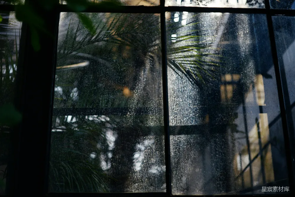 高清摄影 雨景 窗户 夜晚 植物 静谧 雨夜窗景