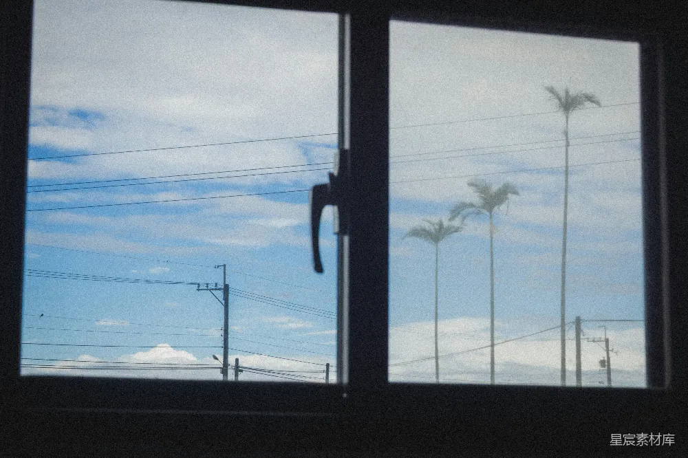 高清摄影 窗户 棕榈树 电线 风景 户外 窗外的棕榈树与电线