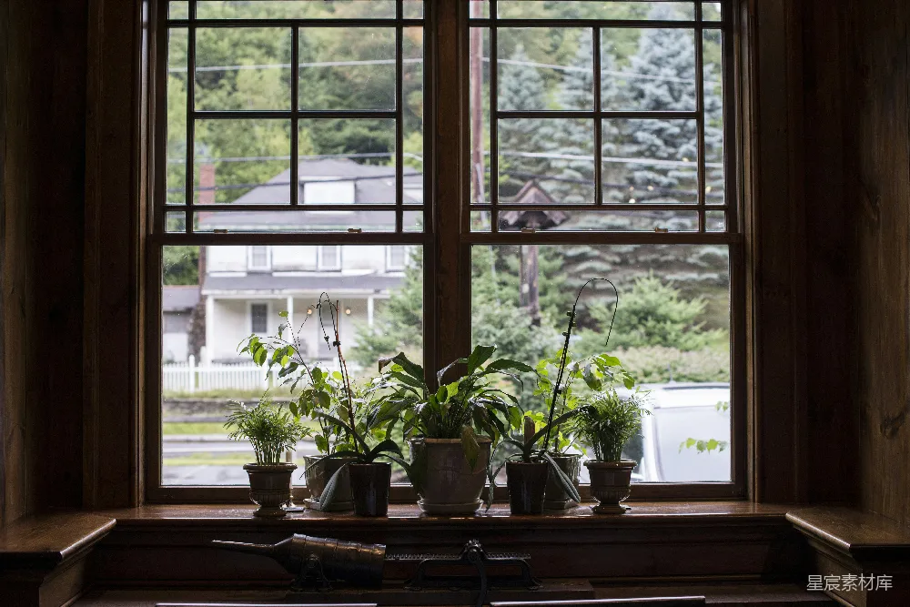 高清摄影 窗户 植物 乡村 室内 自然 窗台上的植物与乡村景色