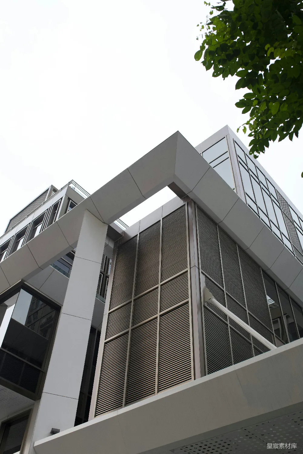 这张图片展示了一栋现代建筑的局部，其设计以简洁的几何形状和大面积的玻璃窗为特点。建筑的外墙设计采用了金属百叶窗，增加了建筑的现代感和实用性。背景中可以看到一片树叶，为建筑的冷硬线条增添了一丝自然气息。这栋建筑适合用于城市景观展示或建筑设计的