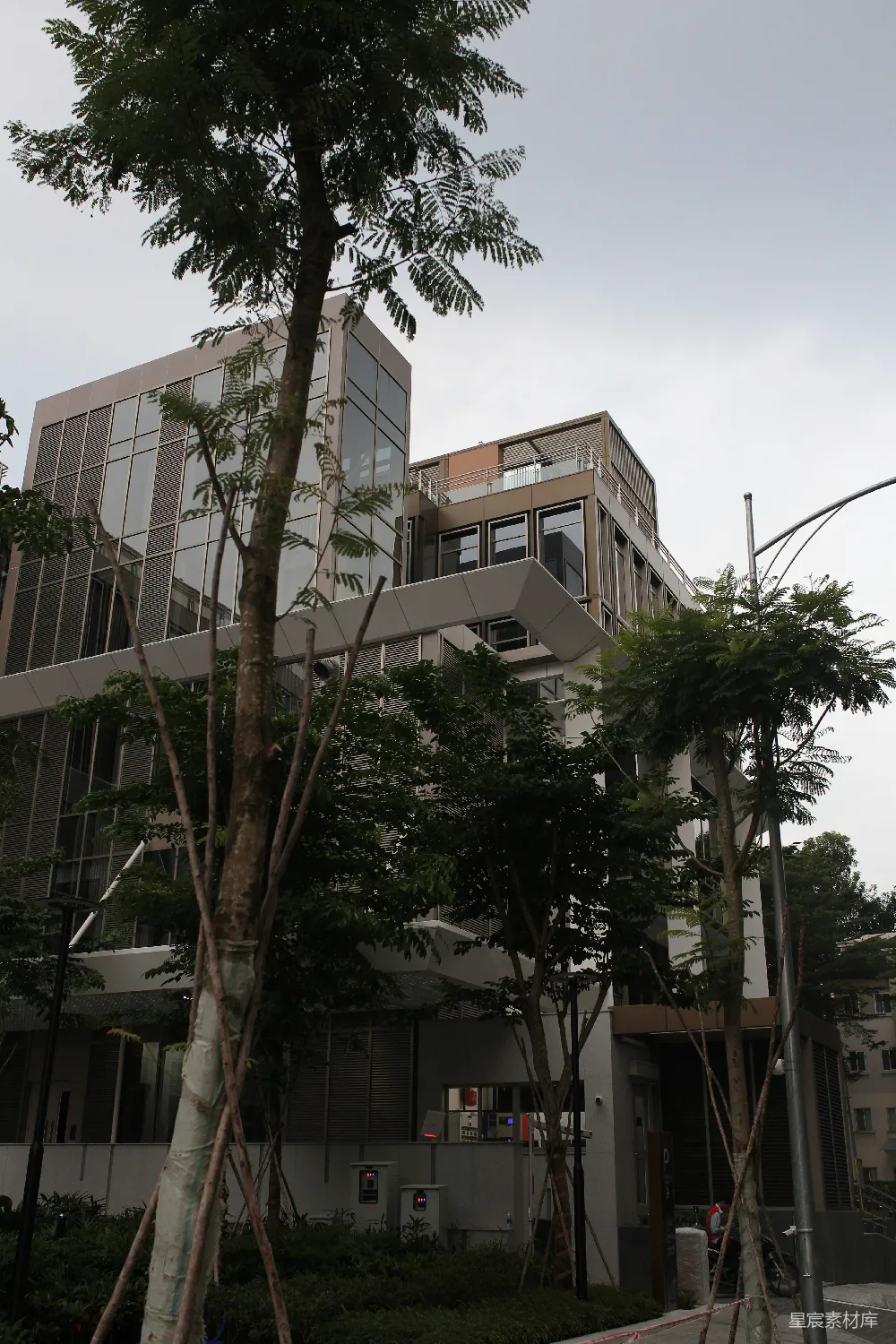 高清摄影 现代建筑 城市景观 自然融合 都市绿洲 建筑设计 现代建筑与绿树相映