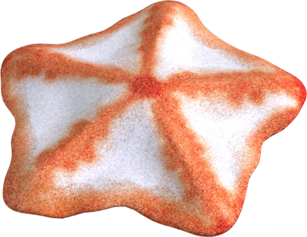 元素素材 海星