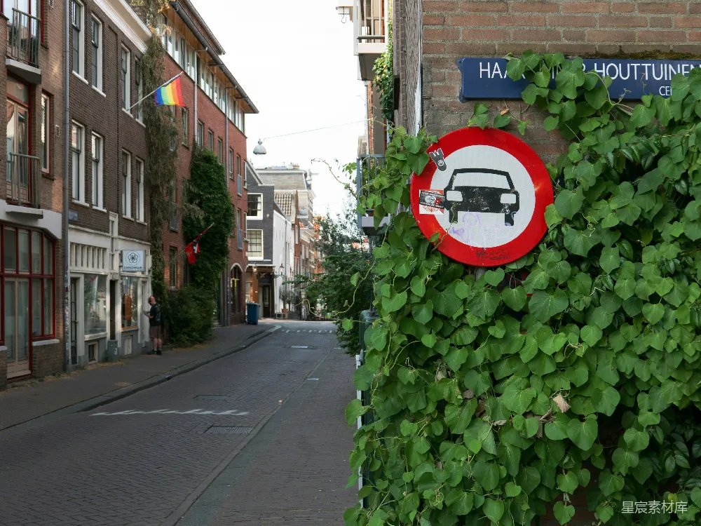 高清摄影 街道 绿色植物 都市 艺术 城市生活 绿色覆盖下的街道