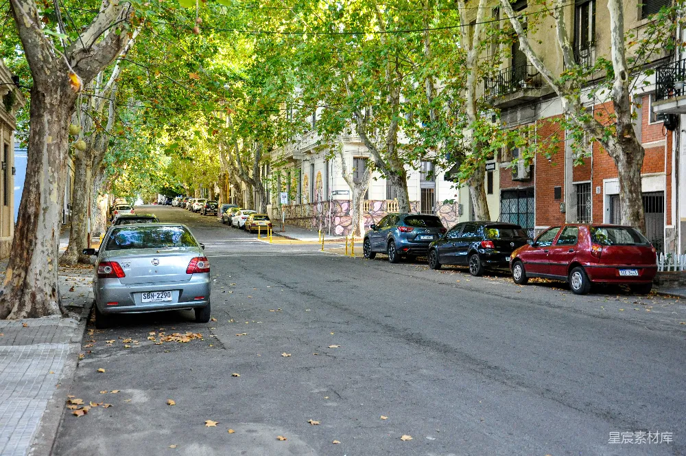 高清摄影 城市 街道 秋景 宁静 建筑 城市街道的宁静秋景