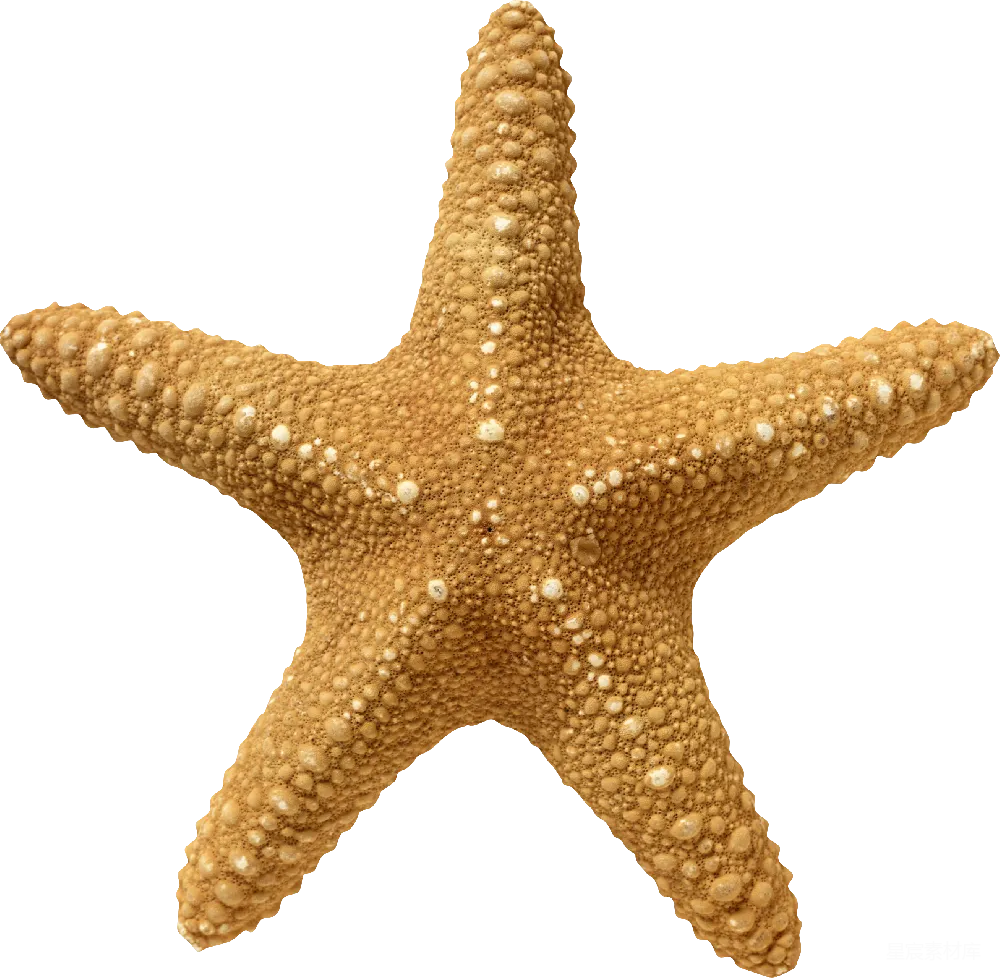 元素素材 元素 海星