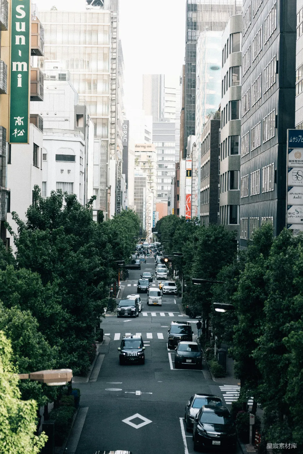高清摄影 城市 街道 绿化 都市生活 现代 都市中的绿意：繁忙街道上的自然与繁华