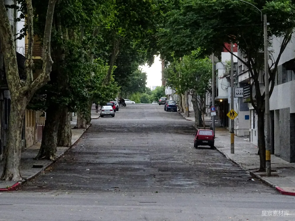 高清摄影 城市 树木 宁静 街道 自然 宁静的街道