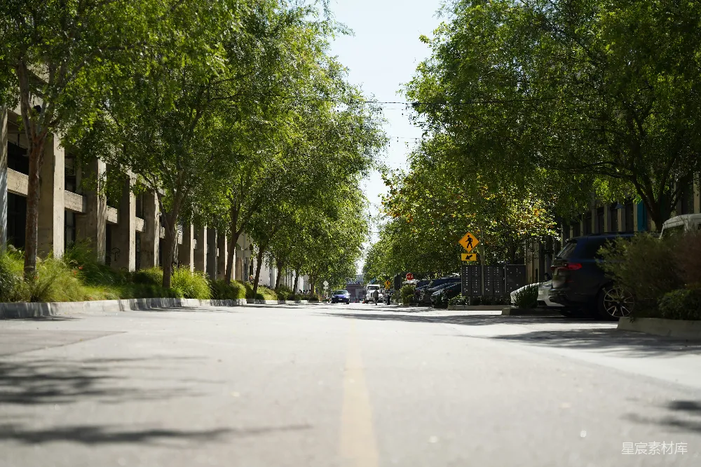 高清摄影 街道 阳光 树木 城市 休闲 阳光明媚的街道