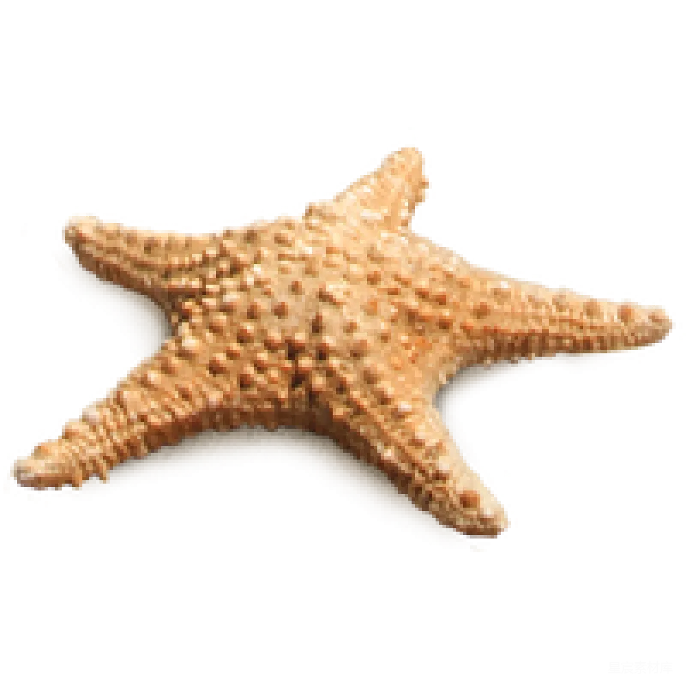 元素素材 元素 海星