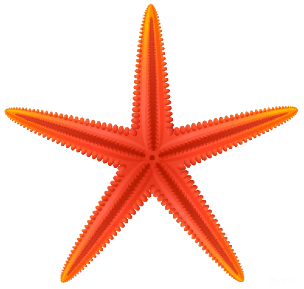 元素素材 海星