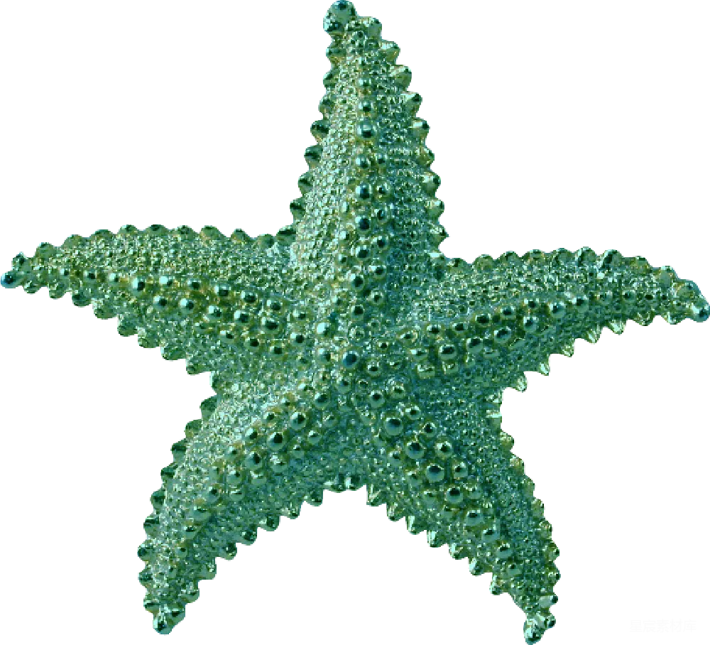 元素素材 海星