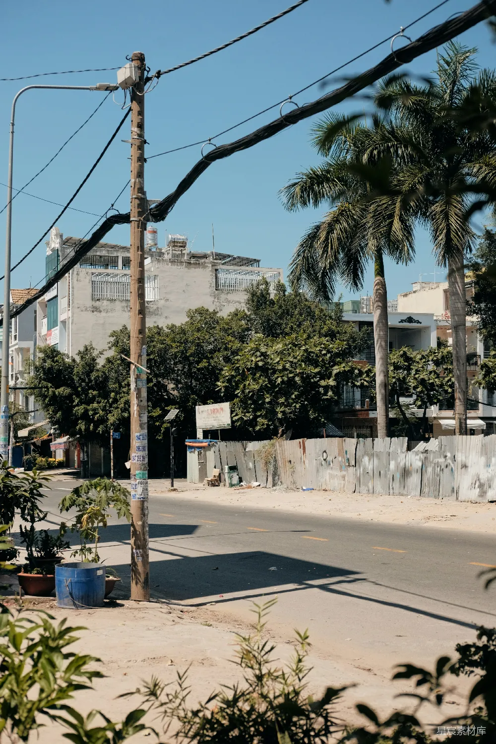 高清摄影 城市 街道 棕榈树 电线杆 宁静 城市边缘的安静角落