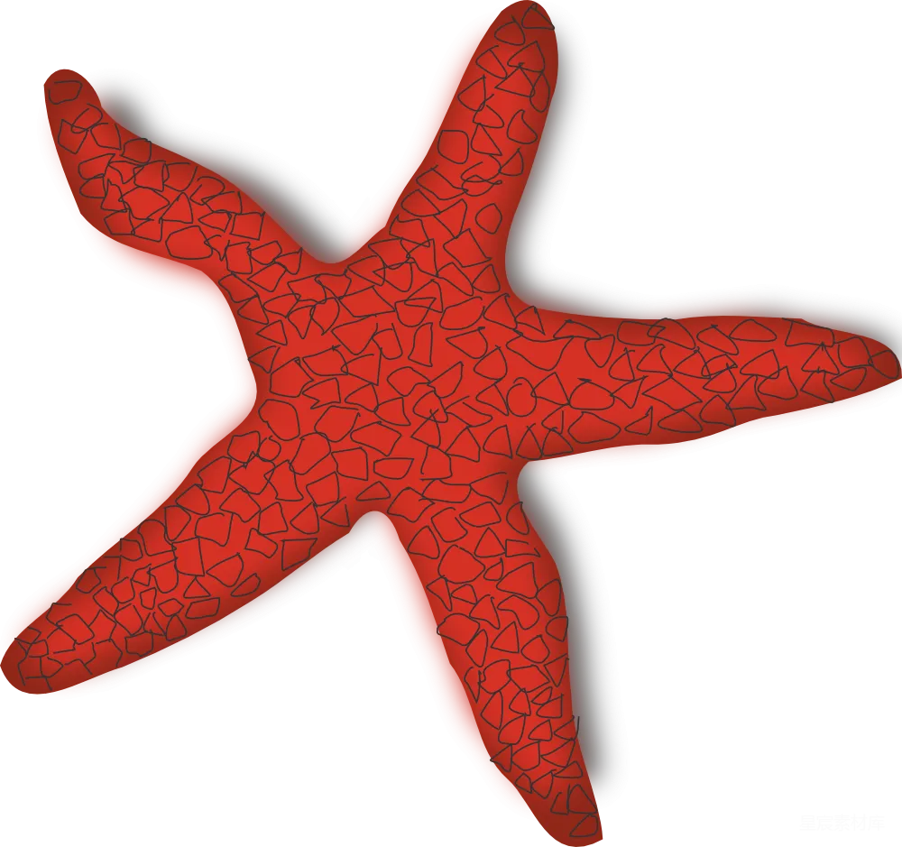 元素素材 海星