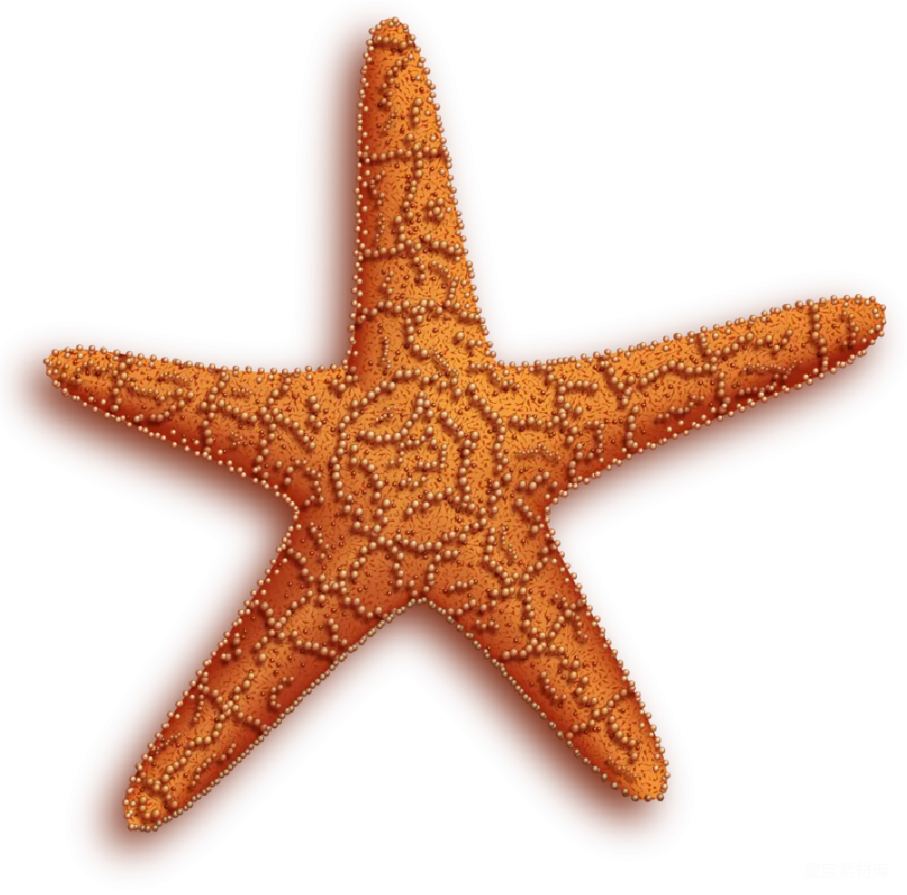 元素素材 海星