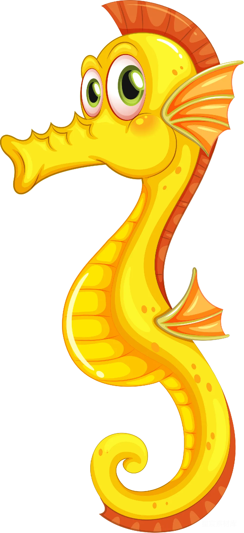 元素素材 Seahorse