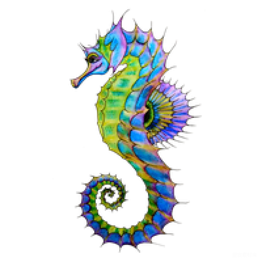 元素素材 Seahorse