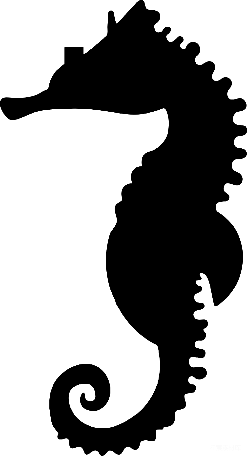 元素素材 Seahorse