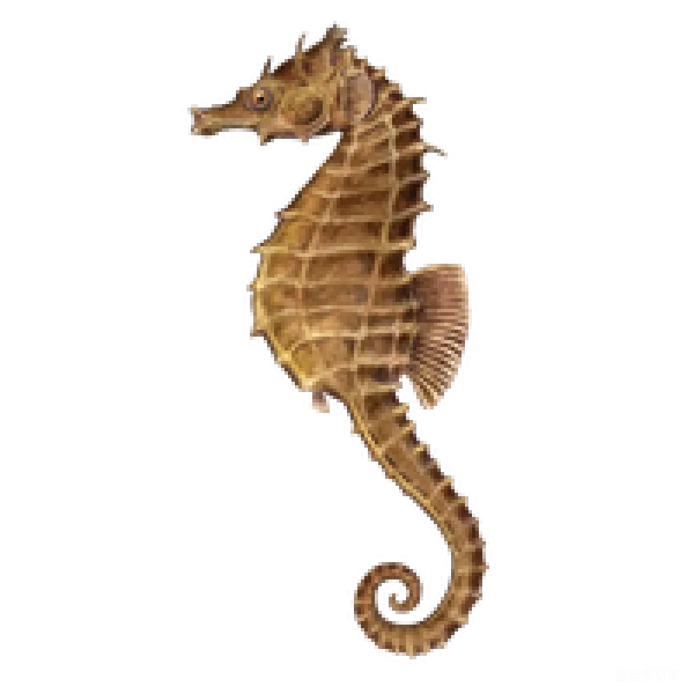 元素素材 PNG