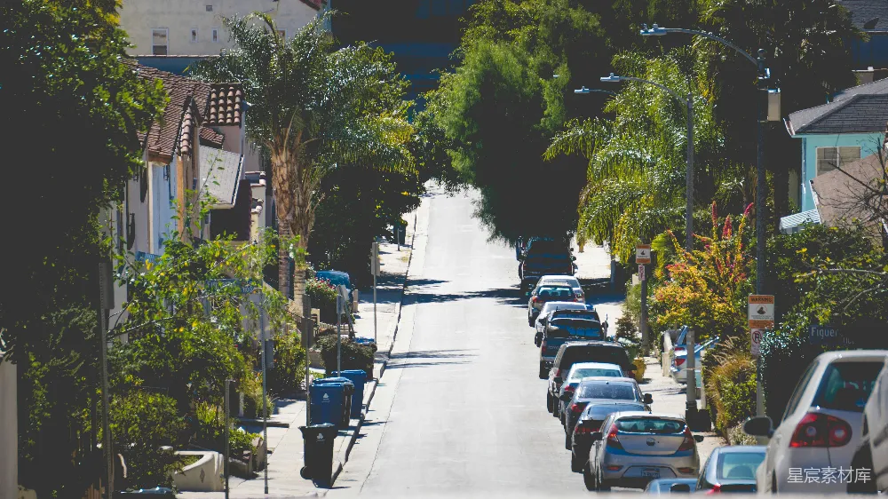 高清摄影 街道 阳光 树木 停放的车辆 住宅 阳光明媚的街道