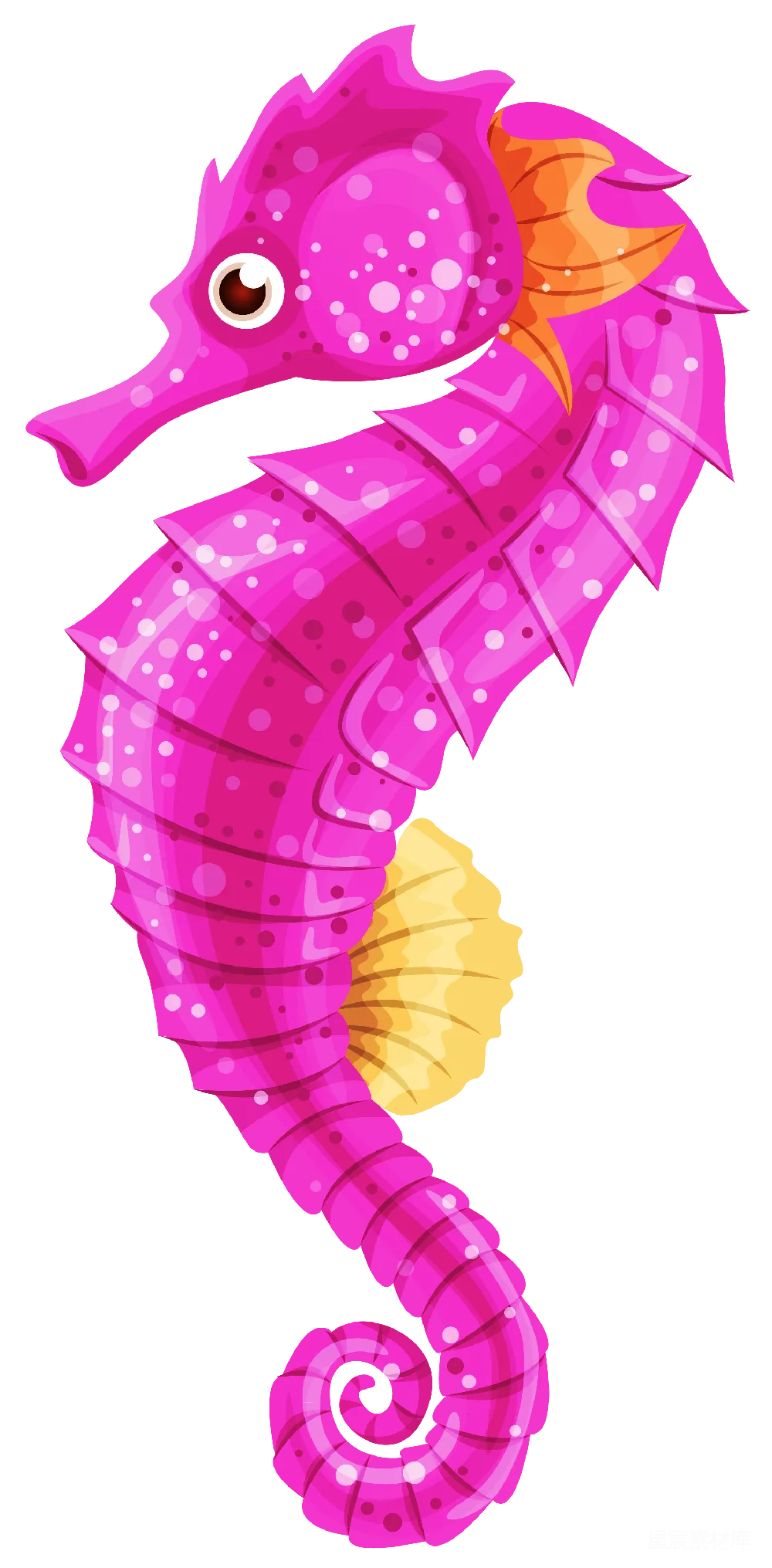 元素素材 Seahorse