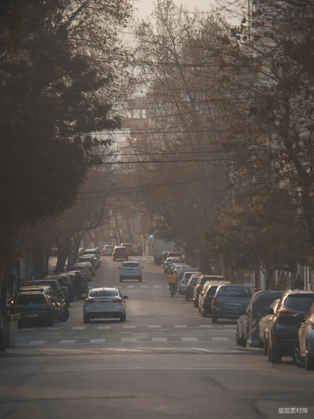 高清摄影 城市 清晨 树木 街道 交通 城市街道的清晨